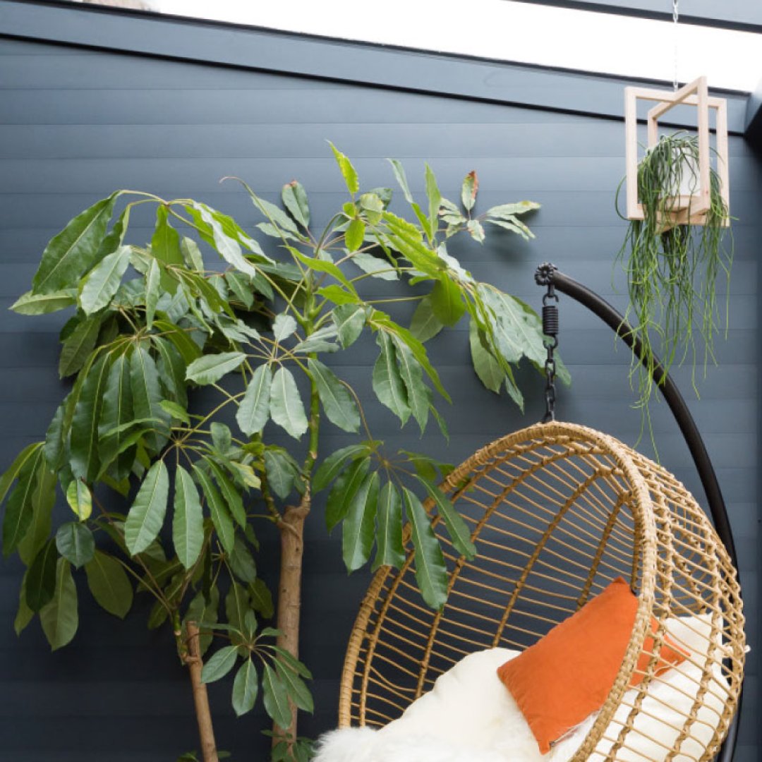 Luxus-Wintergarten mit Aluminiumprofilen und Glasfronten – lichtdurchfluteter Wohnraum mit Blick in den Garten.
